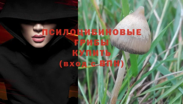 прущая мука Козловка
