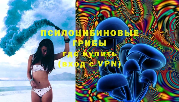 прущая мука Козловка