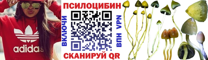 Купить закладки  Вуктыл  Галлюциногенные грибы Psilocybe 